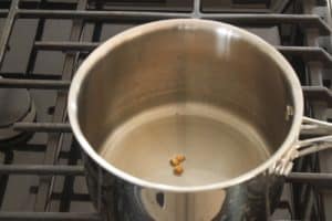 kernels in stainless steel pan